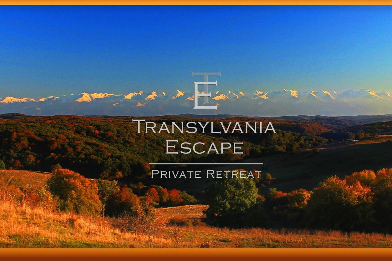Transylvania Escape Apartment Richisu ภายนอก รูปภาพ