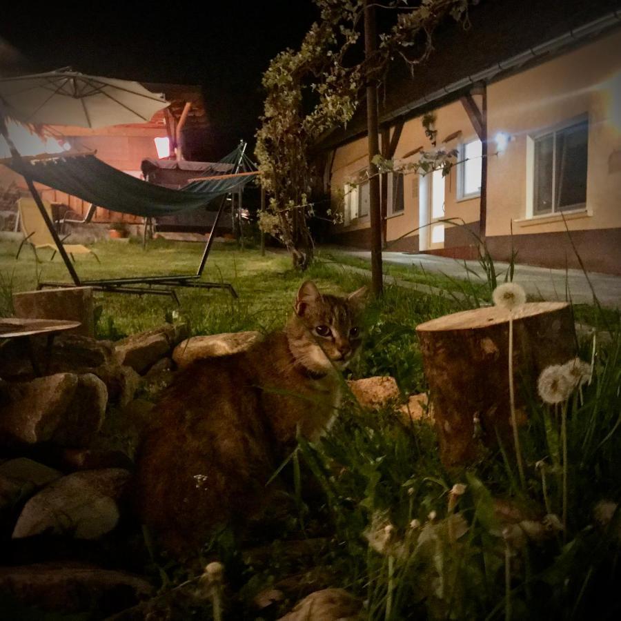 Transylvania Escape Apartment Richisu ภายนอก รูปภาพ