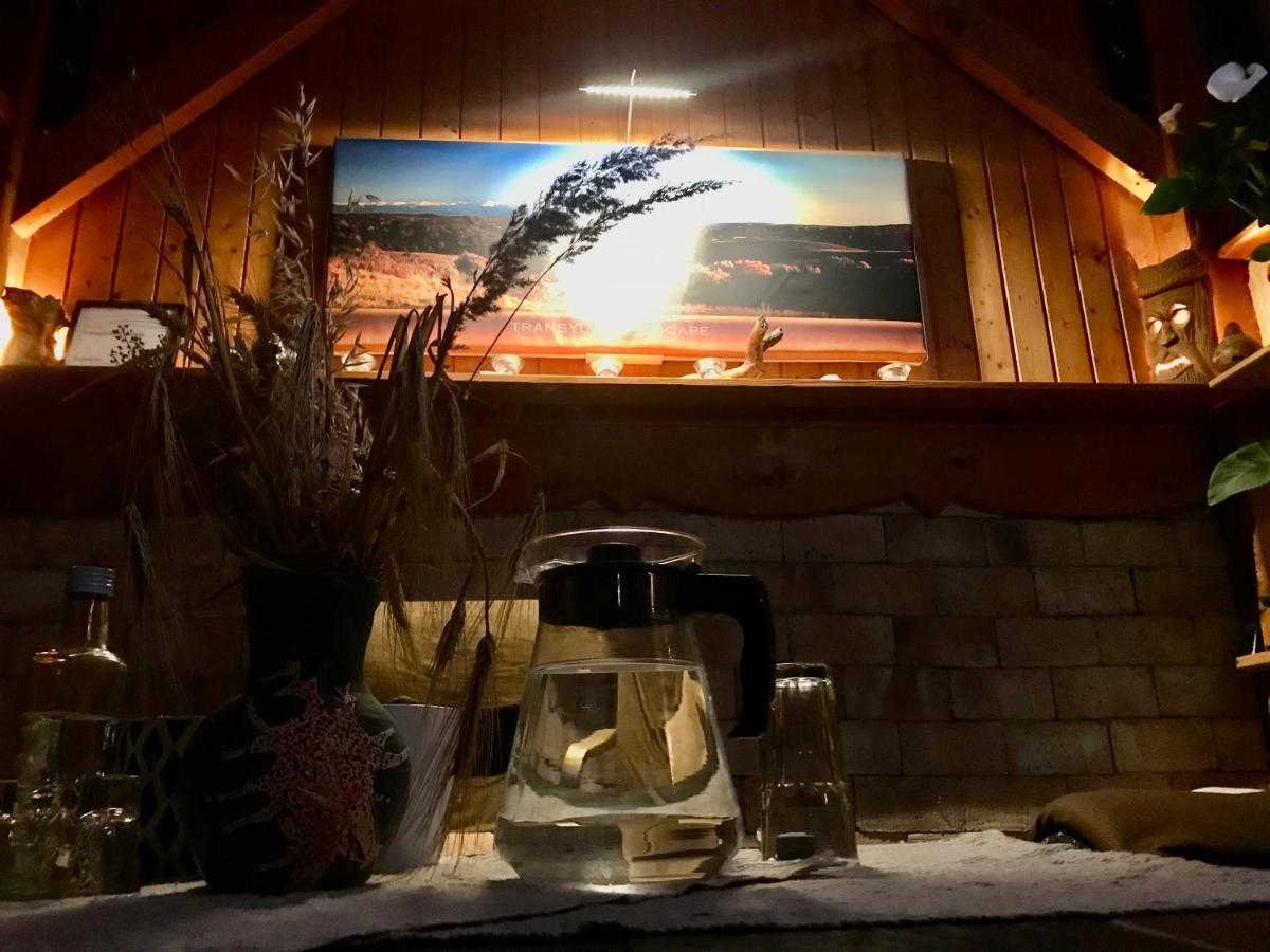 Transylvania Escape Apartment Richisu ภายนอก รูปภาพ
